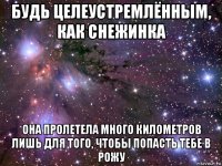 будь целеустремлённым, как снежинка она пролетела много километров лишь для того, чтобы попасть тебе в рожу