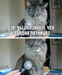 Сэр, вы осознаёте, что сегодня пятница? 