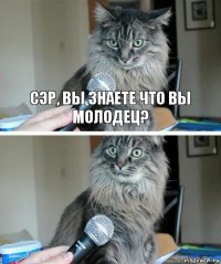 СЭР, ВЫ ЗНАЕТЕ ЧТО ВЫ МОЛОДЕЦ? 