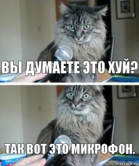 вы думаете это хуй? так вот это микрофон.