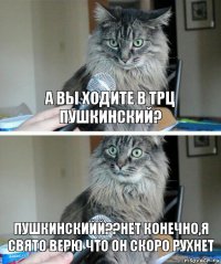 а вы ходите в трц пушкинский? пушкинскийй??нет конечно,я свято верю что он скоро рухнет