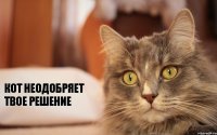 кот неодобряет твое решение