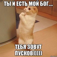 Ты и есть мой Бог.... Тебя зовут ПУСКОВ)))))