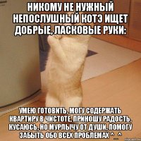 НИКОМУ не нужный НЕПОСЛУШНЫЙ котэ ищет добрые, ласковые руки: Умею готовить, могу содержать квартиру в чистоте, приношу радость, КУСАЮСЬ, но мурлычу от души, помогу забыть обо всех проблемах ^_^