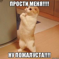 Прости меня!!!! Ну пожалуста!!!!