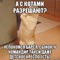 А с котами разрешают? Успокойся Барся, сынок, у Командир такси даже детское кресло есть)