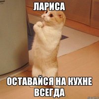 лариса оставайся на кухне всегда