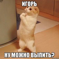 Игорь Ну можно выпить?