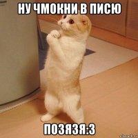 ну чмокни в писю позязя:3