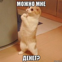 можно мне денег?