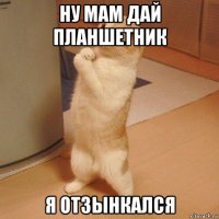 ну мам дай планшетник я отзынкался