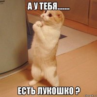 а у тебя....... есть лукошко ?