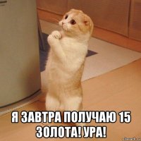  я завтра получаю 15 золота! ура!