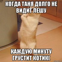 когда таня долго не видит лешу каждую минуту грустит котик(