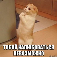  тобой налюбоваться невозможно