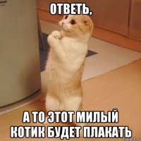 ответь, а то этот милый котик будет плакать