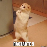  паставте 5