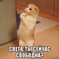  света, ты сейчас свободна?