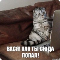 вася! как ты сюда попал!