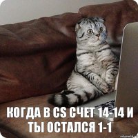 Когда в CS счет 14-14 и ты остался 1-1