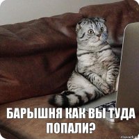 Барышня как вы туда попали?