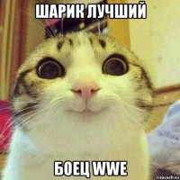 шарик лучший боец wwe