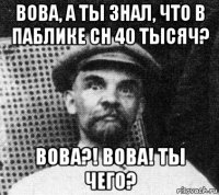 вова, а ты знал, что в паблике сн 40 тысяч? вова?! вова! ты чего?