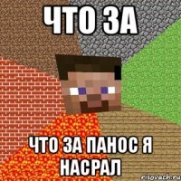 что за что за панос я насрал