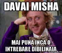 Davai Misha Mai puna inca o intrebare dibilinaia