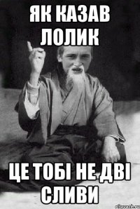 Як казав лолик це тобi не двi сливи