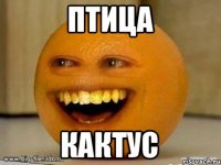 Птица Кактус