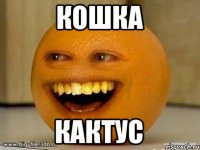 Кошка Кактус