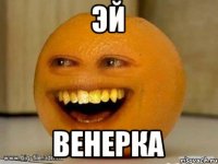 эй венерка