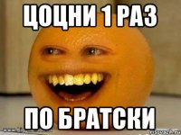 Цоцни 1 раз По братски