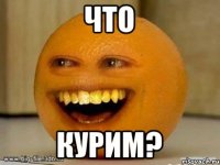 ЧТО КУРИМ?