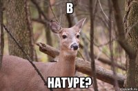 в натуре?