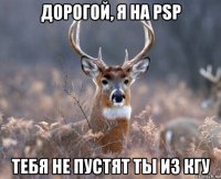 дорогой, я на psp тебя не пустят ты из кгу