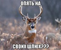 опять на своих шлюх???