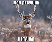 моя девушка не такая