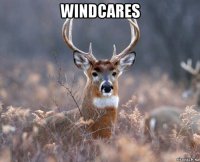 windcares 