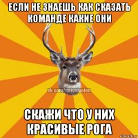 если не знаешь как сказать команде какие они скажи что у них красивые рога