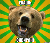 ебашь сибиряк!