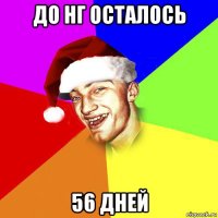 до нг осталось 56 дней