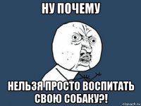 ну почему нельзя просто воспитать свою собаку?!