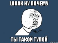 шпак ну почему ты такой тупой