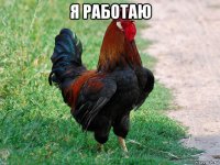 я работаю 