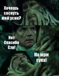 Хочешь соснуть мой усик? Нет Спасибо Сэр! На жри сука!