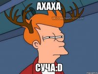 Ахаха суча:D