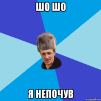 шо шо я непочув