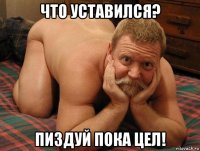 что уставился? пиздуй пока цел!